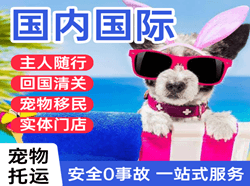 遥墙空运代理国际宠物托运 【国